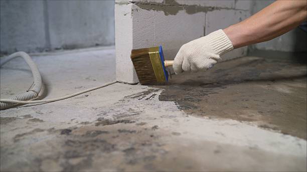 SJ Waterproofing Pros Basement Waterproofing coverage map for Ridgeville, SC and surrounding area